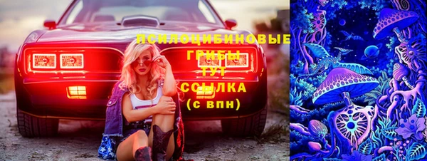 амф Абинск