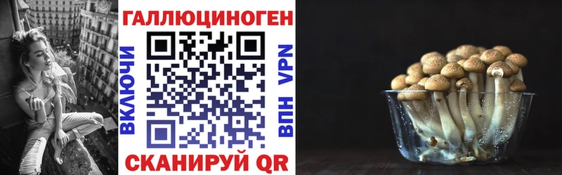 Псилоцибиновые грибы Psilocybine cubensis  Салават 